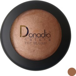 رژگونه هایلاتر 3D ضد آب دنادیا شماره 103